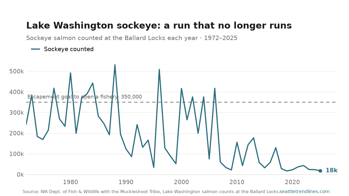Annual Lake Washington sockeye counts at the Ballard Locks, 1972 to 2025, with a dashed line at the 350,000 escapement goal. The series swings between roughly 170,000 and 530,000 through the 1970s, 1980s, and 1990s — peaking at 531,000 in 1988 and 508,000 in 1996 — then steps down sharply after about 2006 to a low band near 20,000, ending at 17,881 in 2025.